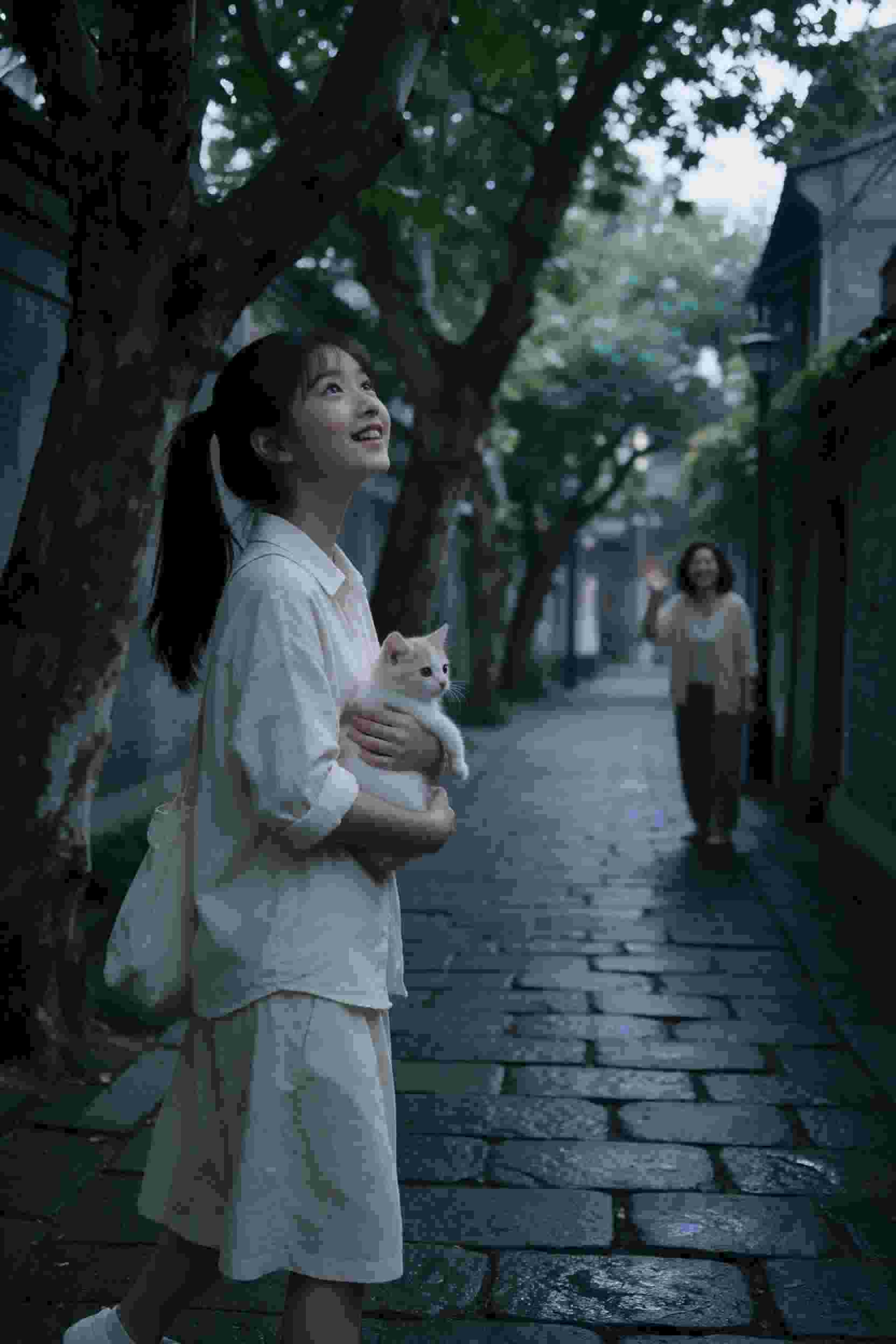 陪伴的意义